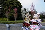Dcim7739/DSC_5956