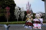 Dcim7739/DSC_5957