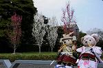 Dcim7739/DSC_5958