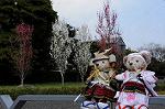 Dcim7739/DSC_5959