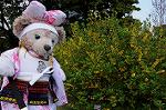 Dcim7739/DSC_5963