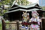 Dcim7739/DSC_5979