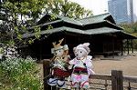 Dcim7739/DSC_5988