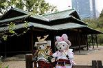 Dcim7739/DSC_5993