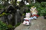 Dcim7739/DSC_6002