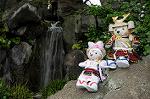 Dcim7739/DSC_6005