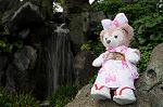 Dcim7739/DSC_6027