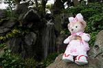 Dcim7739/DSC_6028