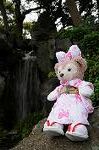 Dcim7739/DSC_6029
