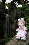 Dcim7739/DSC_6031