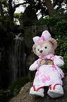 Dcim7739/DSC_6033