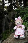 Dcim7739/DSC_6034