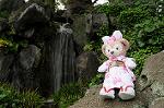 Dcim7739/DSC_6037