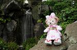 Dcim7739/DSC_6038