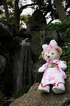 Dcim7739/DSC_6039