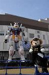 Dcim7741/DSC_6332
