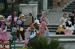 Dcim7742/DSC_5817