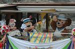 Dcim7743/DSC_5989