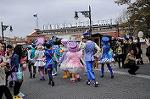 Dcim7744/DSC_6445