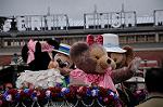 Dcim7744/DSC_6468