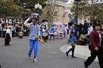 Dcim7744/DSC_6497