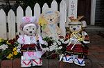 Dcim7745/DSC_6612