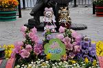 Dcim7745/DSC_6623