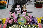 Dcim7745/DSC_6624