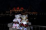 Dcim7750/DSC_7356