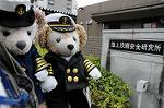 Dcim7751/DSC_7379