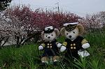 Dcim7754/DSC_7809