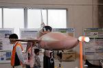 Dcim7754/DSC_7894