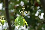 Dcim7756/DSC_6029