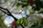 Dcim7756/DSC_6030