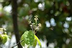 Dcim7756/DSC_6032
