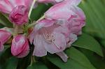 Dcim7756/DSC_6068