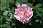 Dcim7756/DSC_6075