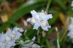 Dcim7756/DSC_6098