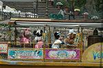 Dcim7759/DSC_6303