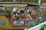 Dcim7759/DSC_6307
