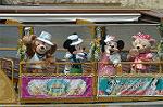 Dcim7759/DSC_6316
