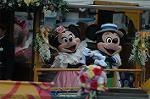 Dcim7761/DSC_6569