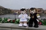 Dcim7762/DSC_8229