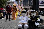 Dcim7764/DSC_8555