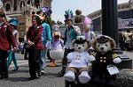Dcim7764/DSC_8572