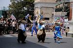 Dcim7765/DSC_8642