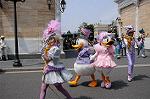 Dcim7765/DSC_8662