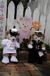 Dcim7766/DSC_8727