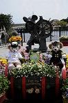 Dcim7766/DSC_8739
