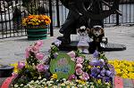 Dcim7766/DSC_8747